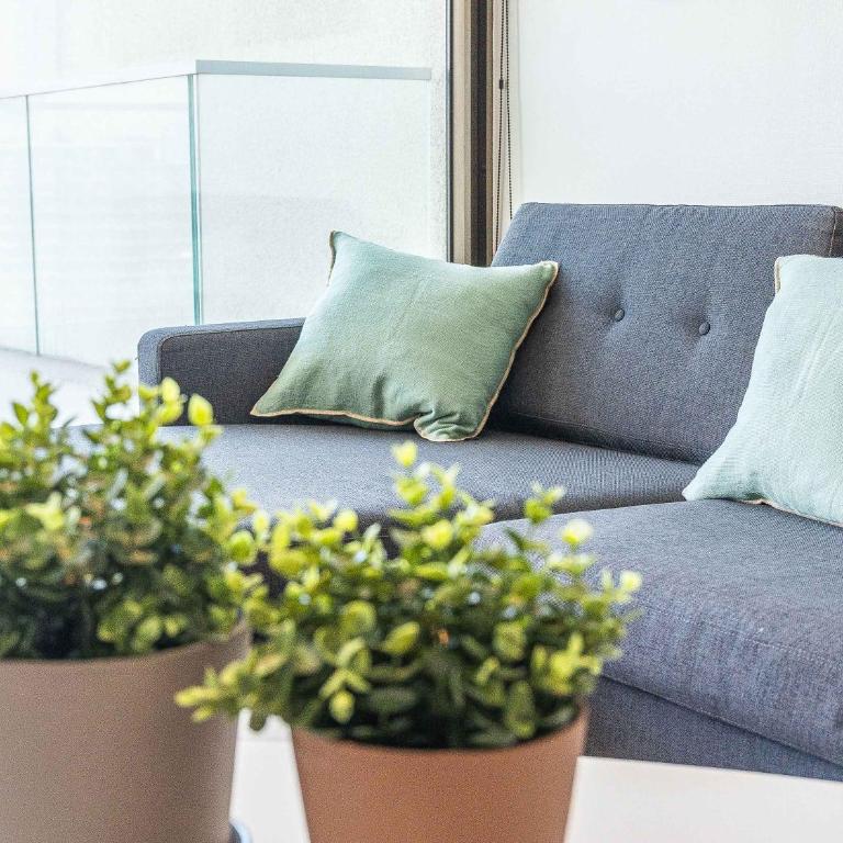 HOM DE LUJO I Parking l Wifi l Lavanderia l Piscina - Apartment - 39