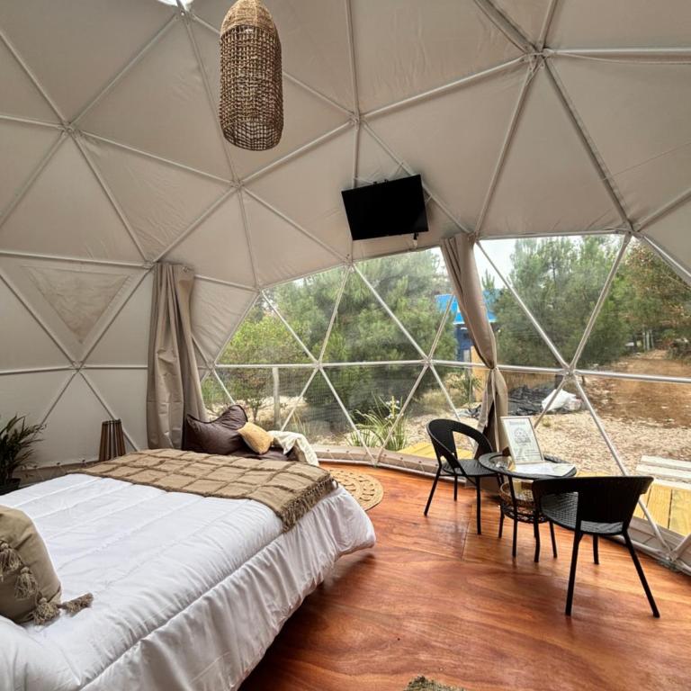 TimoDomo - Tent - 4