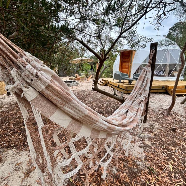 TimoDomo - Tent - 6