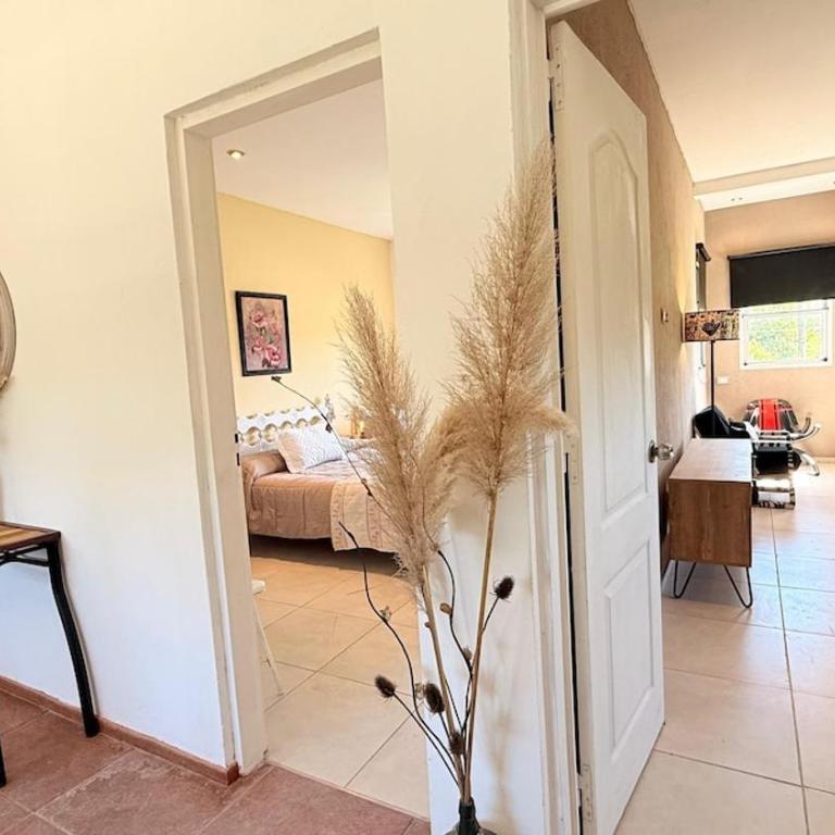 Quinta Las Moras, historias en la naturaleza - Casa de 3 dormitorios - 25