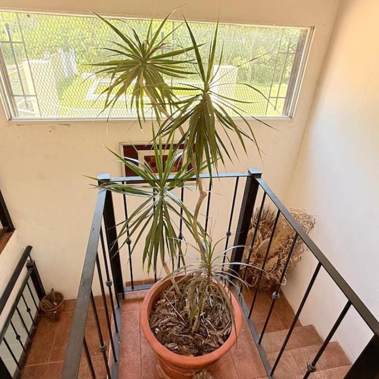 Quinta Las Moras, historias en la naturaleza - Casa de 3 dormitorios - 70