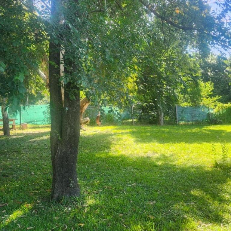 Quinta Las Moras, historias en la naturaleza - Casa de 3 dormitorios - 71