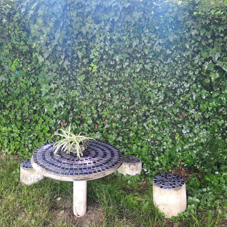 Quinta Las Moras, historias en la naturaleza - Casa de 3 dormitorios - 78