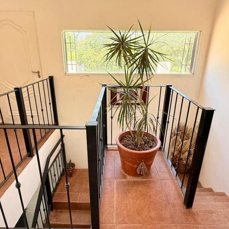 Quinta Las Moras, historias en la naturaleza - Casa de 3 dormitorios - 98