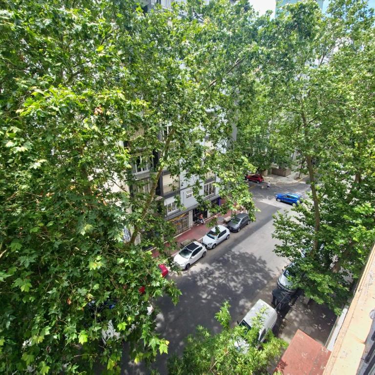 Departamento monoambiente dividido en zona Aldrey - One-Bedroom Apartment - 14