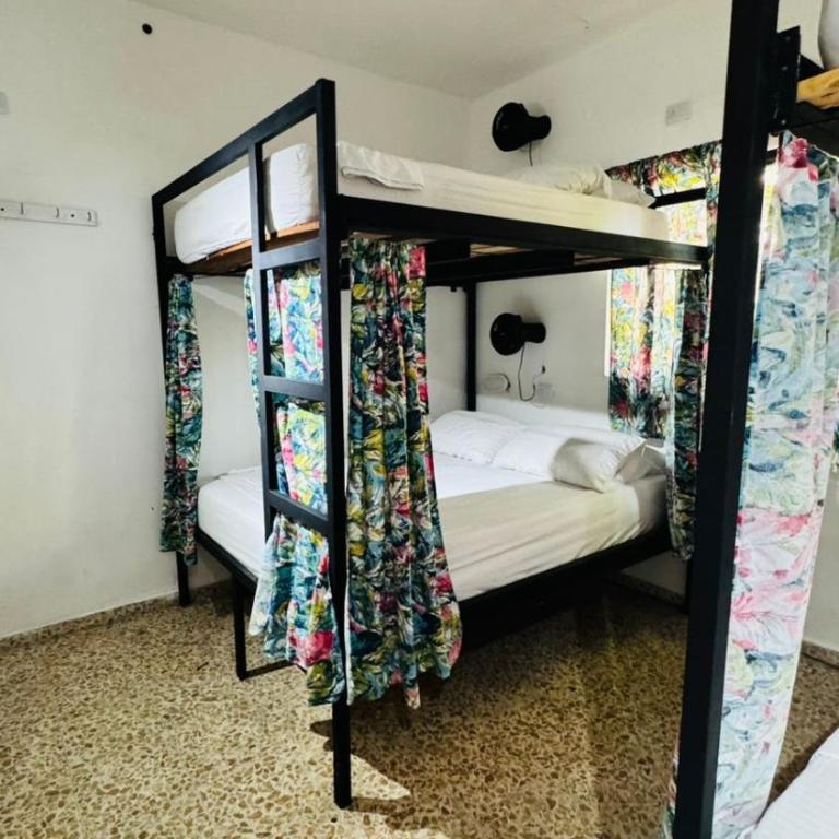 Baku Laureles Hostel - Habitación Compartida Mixta - 4 camas - 2