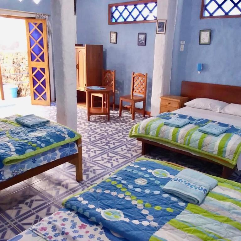 Penguin Hostel - Quadruple Room - 2