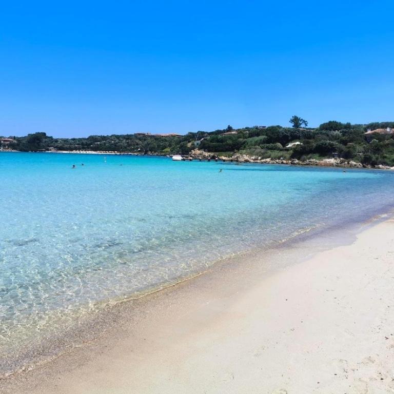 Sunny Escape in Porto Rotondo - Apartment mit 1 Schlafzimmer - 34