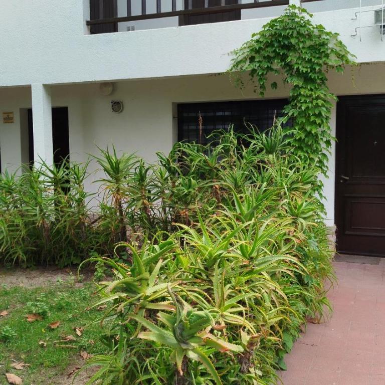 La caracola - Apartment - Ground Floor - 8