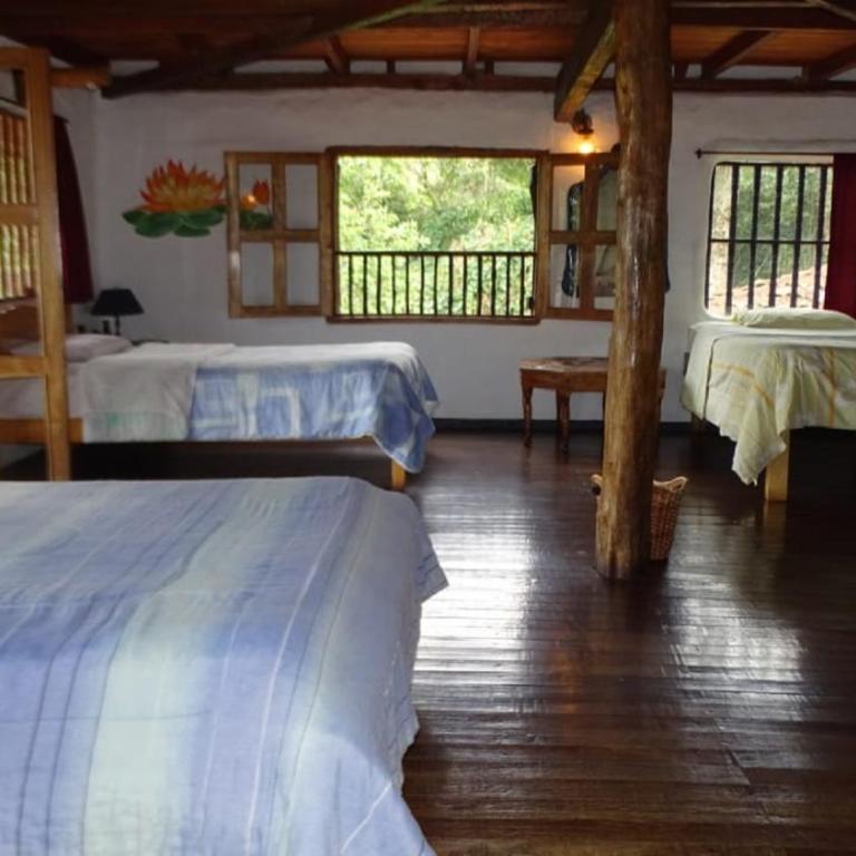 Hostel Casa de Nelly - Single Bed in Female Dormitory Room - 6