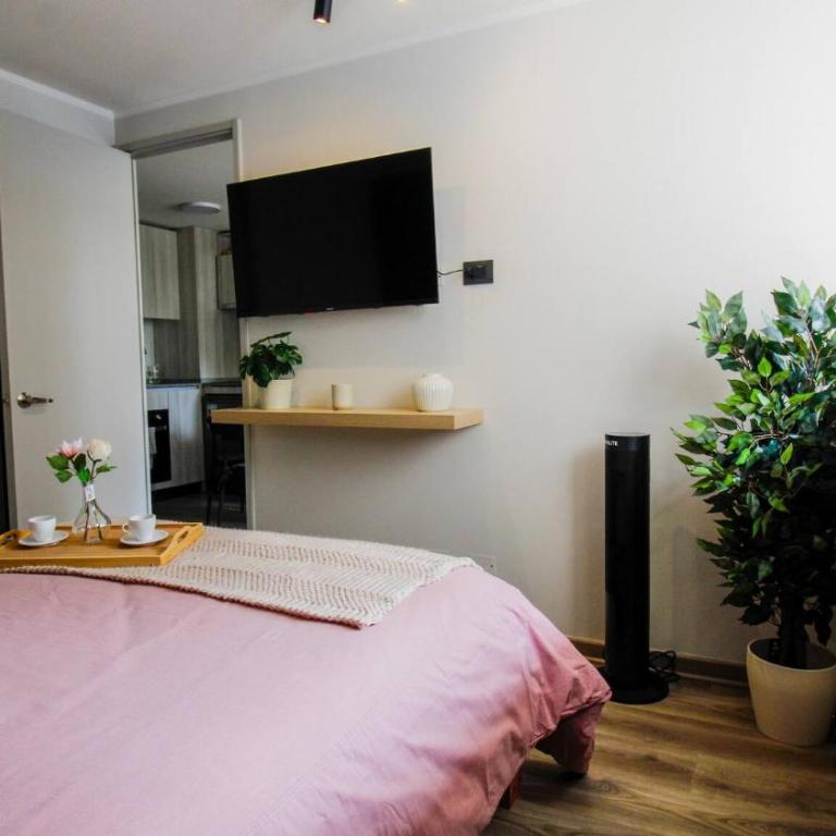 Zona Turistica, Estacionamiento, Wifi, hasta 5 personas - Apartment - 40