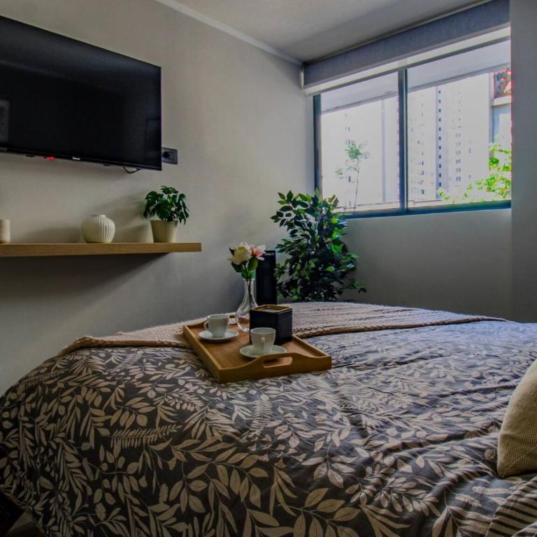 Zona Turistica, Estacionamiento, Wifi, hasta 5 personas - Apartment - 36