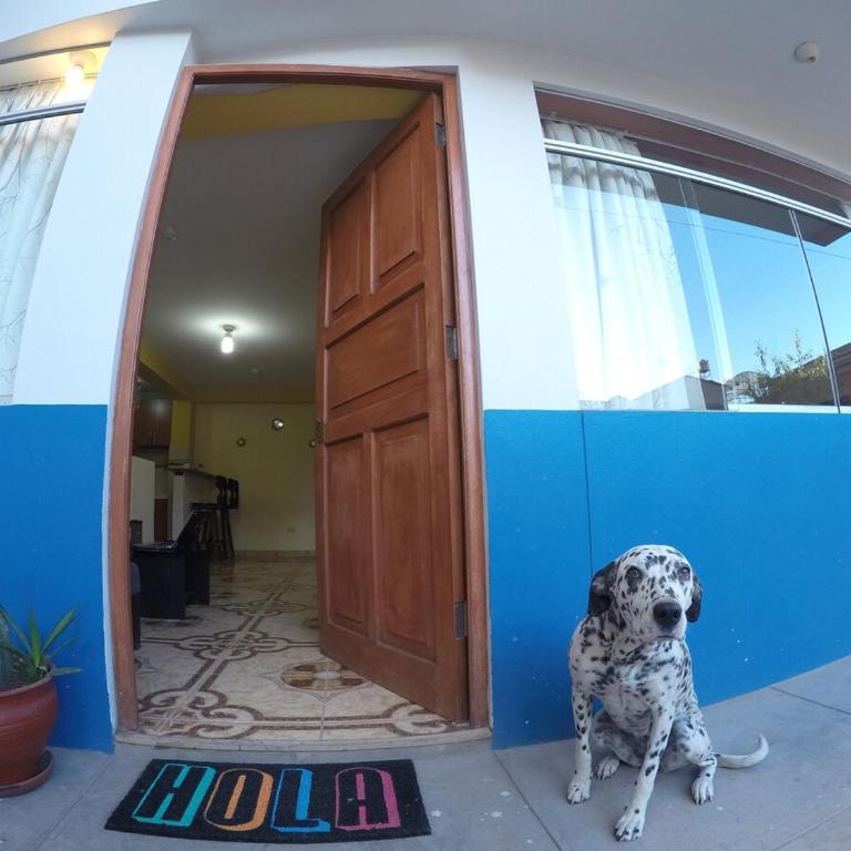 Cozy & Centric Apartment in great location! - One-Bedroom Apartment - 19