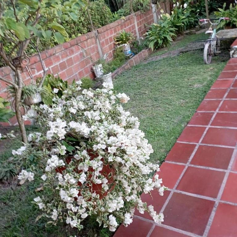 Villa Jacky Country House A place to rest and relax - Villa de 3 dormitorios - 7