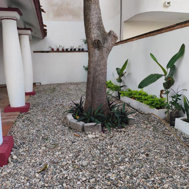 Casa ola Rinconada Piscina Starlink 5 min caminando a bahía Carrizalillo - Casa de 4 dormitorios - 28