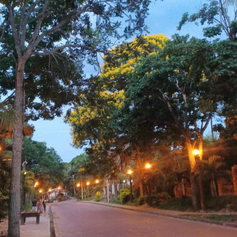 Bosque de Ángeles - Suite with Terrace - 9