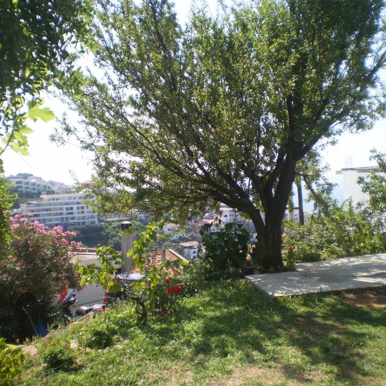 Apartment Vuk i Novak - Apartment with Sea View - 36