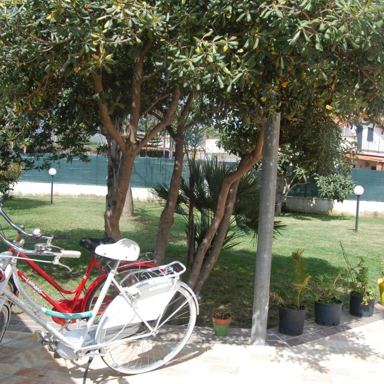 OMBRA E CAFFE' - Villa con Piscina Privata - 21