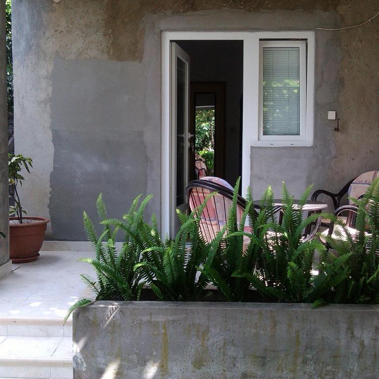 Spasic Apartment - Studio Apartment - Ground Floor - 1