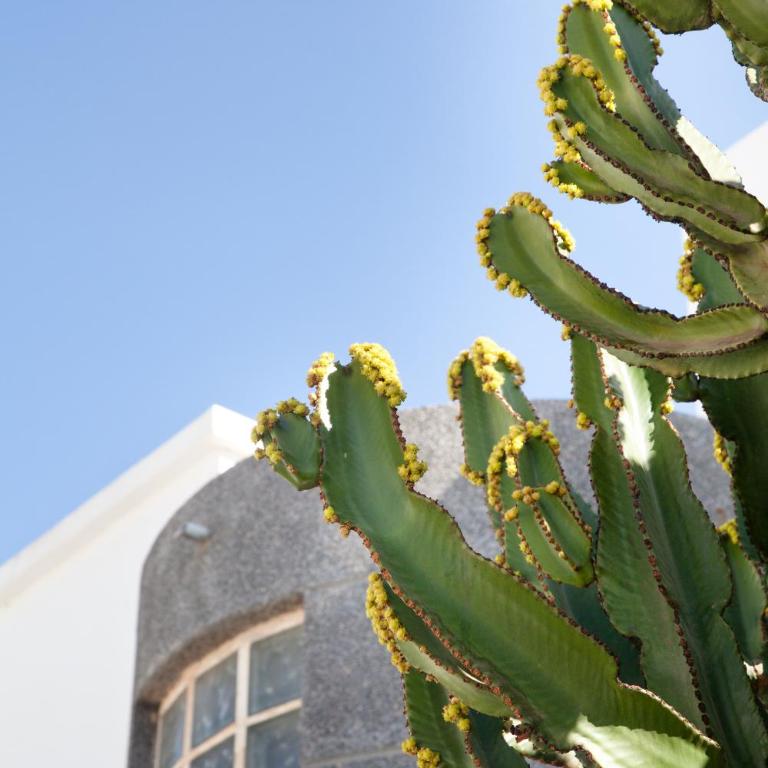 Villas Bocaina Beach - Villa With Private Pool (3 bedrooms) - 26