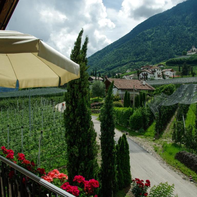 Haus Sonnegg - Apartment mit Blick auf die Berge - 2
