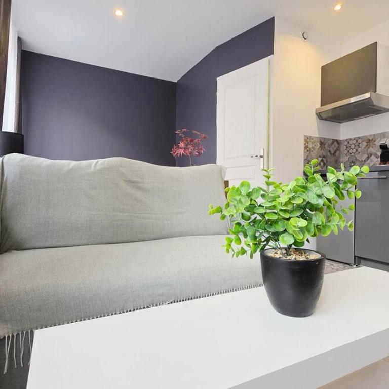 Velvetissime - Appartement 1 Chambre - 5