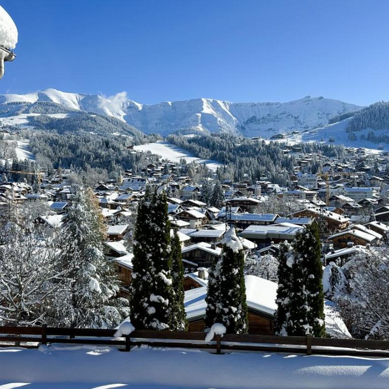 Exceptional view of village and mountain - Appartement 1 Chambre - 31