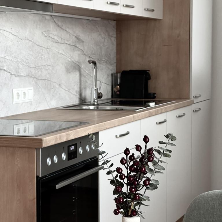 - NEW OPENING - 12W13 Appartements - Apartment mit 1 Schlafzimmer - 1