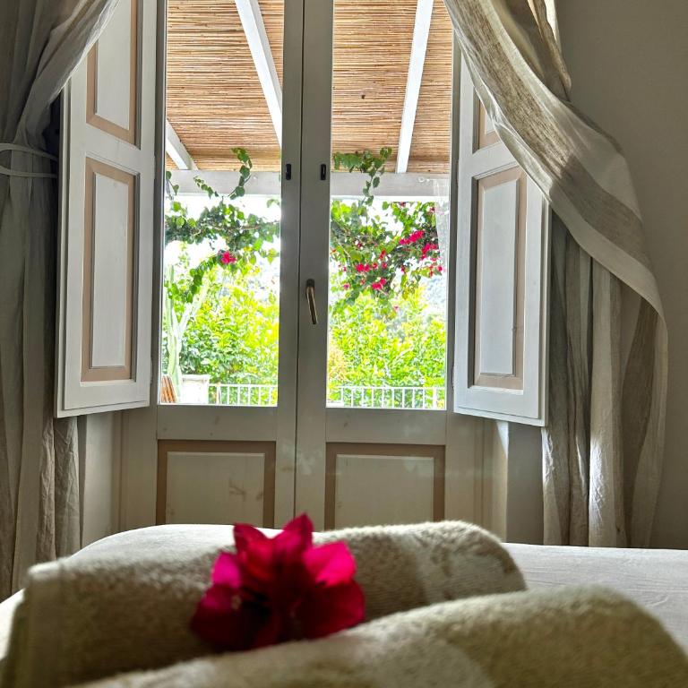Villa Sea Rose - Appartamento con Vista Giardino - 8