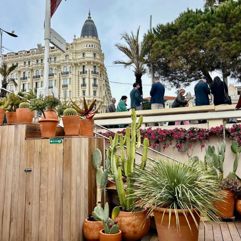 VIP 2 chambres, 2 salles de bain et 2 WCs Palais des Festivals Croisette - Appartement 2 Chambres - 2