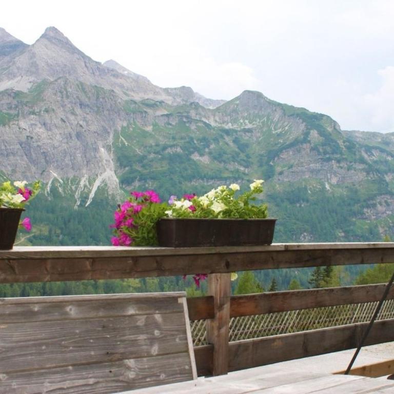 Gottschallalm - Casa Vacanze - 4