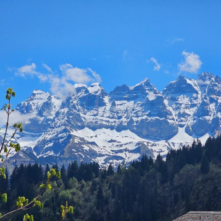 Ski in Ski out Portes du Soleil Champoussin - Apartamento de 1 dormitorio - 8