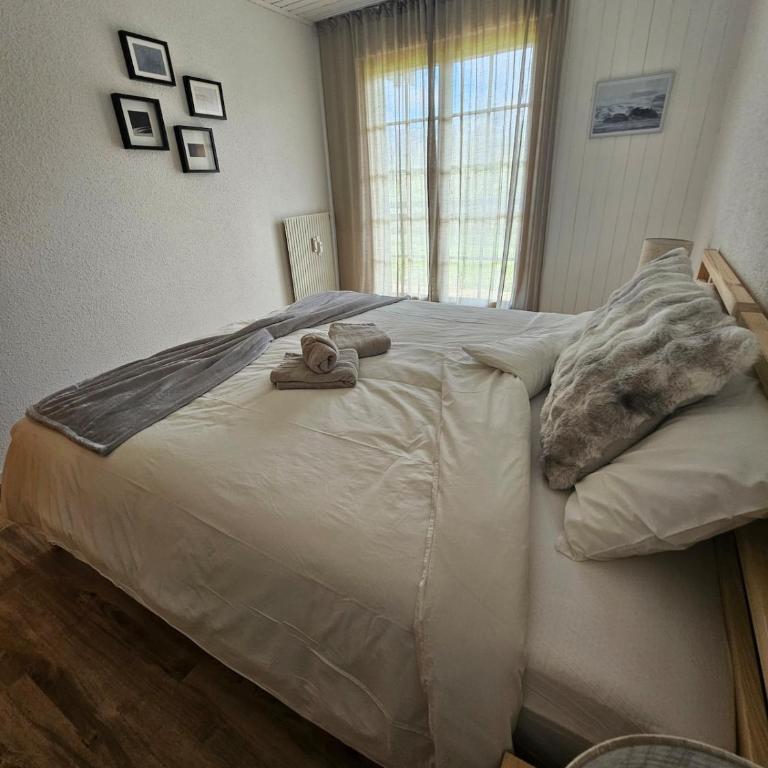 Ski in Ski out Portes du Soleil Champoussin - Apartamento de 1 dormitorio - 9