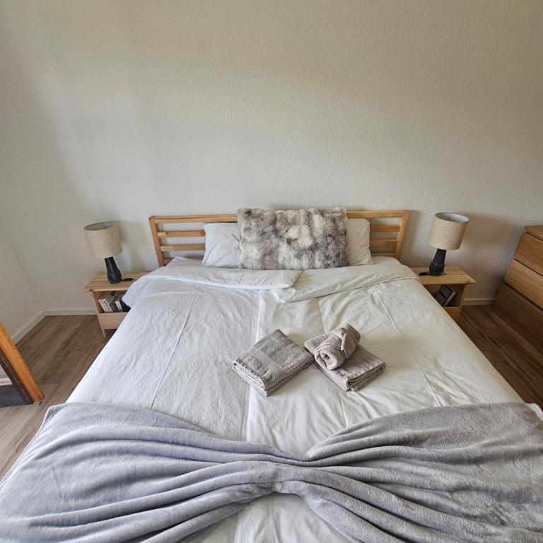 Ski in Ski out Portes du Soleil Champoussin - Apartamento de 1 dormitorio - 15