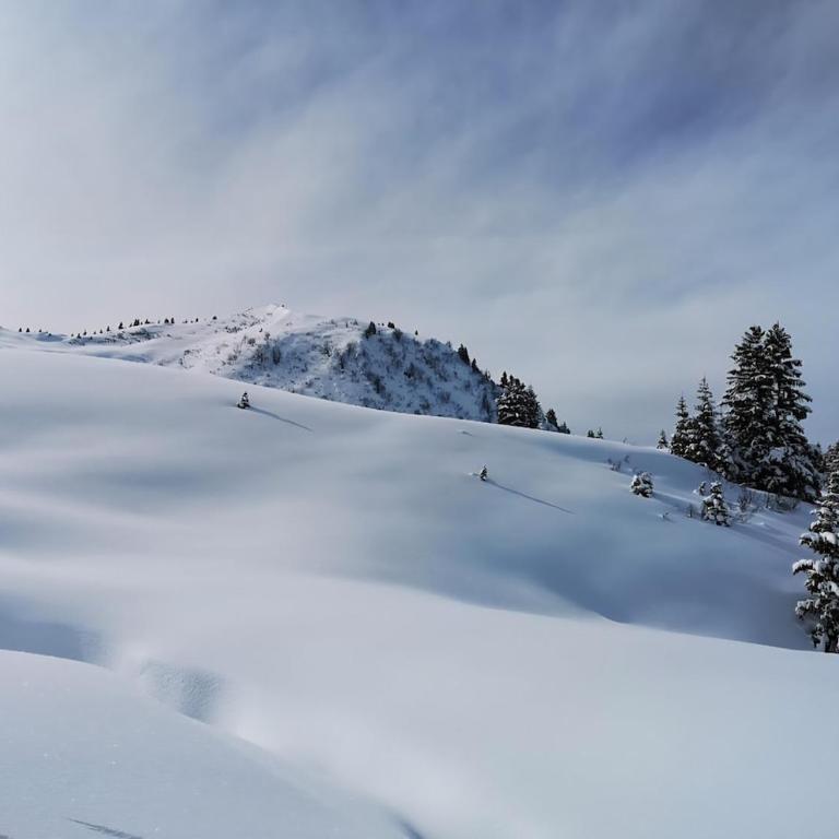 Ski in Ski out Portes du Soleil Champoussin - Apartamento de 1 dormitorio - 20