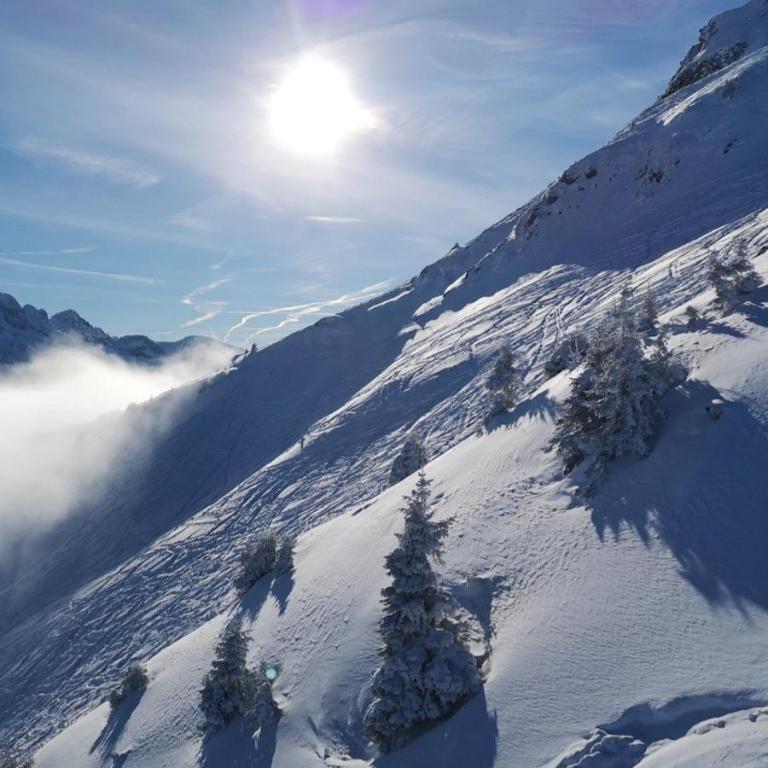 Ski in Ski out Portes du Soleil Champoussin - Apartamento de 1 dormitorio - 22