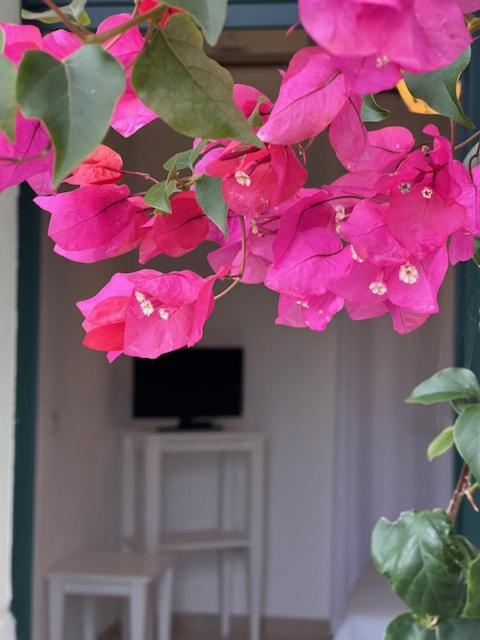 La Carcara - Chambre Quadruple - 5
