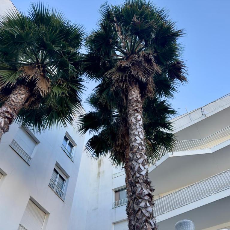 Cannes Maria SCLS - Wifi, Parking, Spacieux - Appartement 1 Chambre - 25
