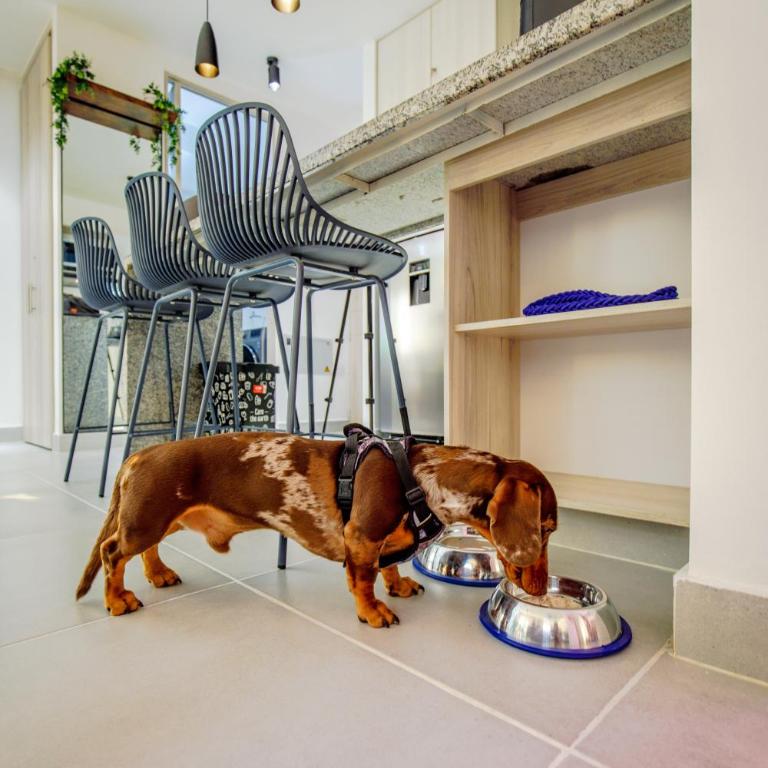 Agüita e Coco - Two-Bedroom Apartment - 6