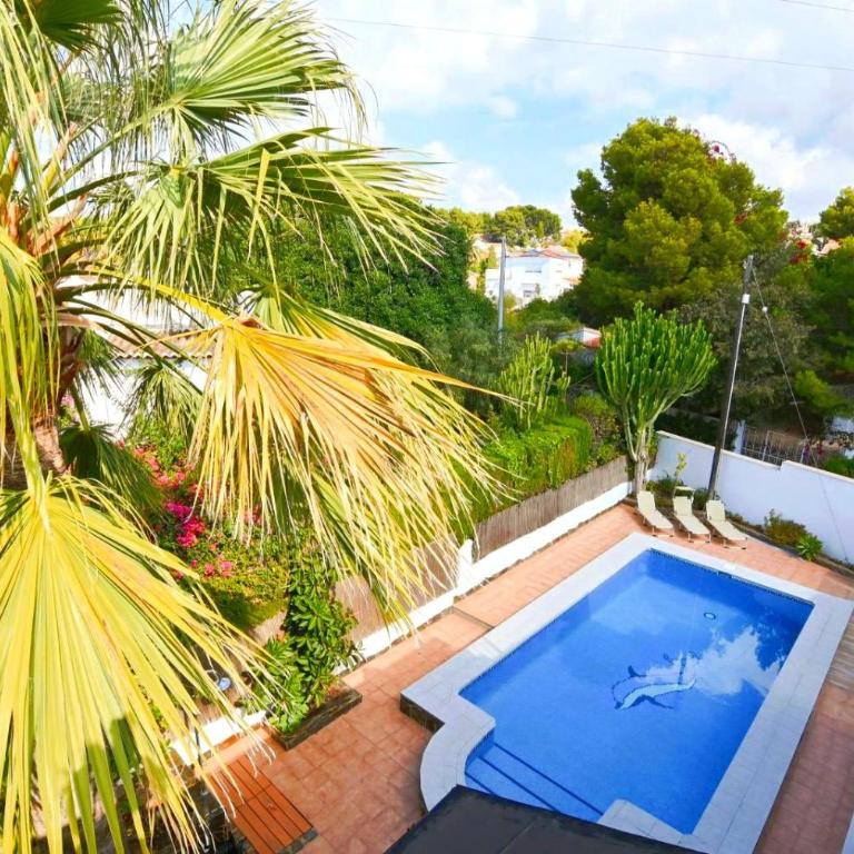 Rez-de-chaussée Blanca Carrio, piscine partagée - Apartment - Ground Floor - 14