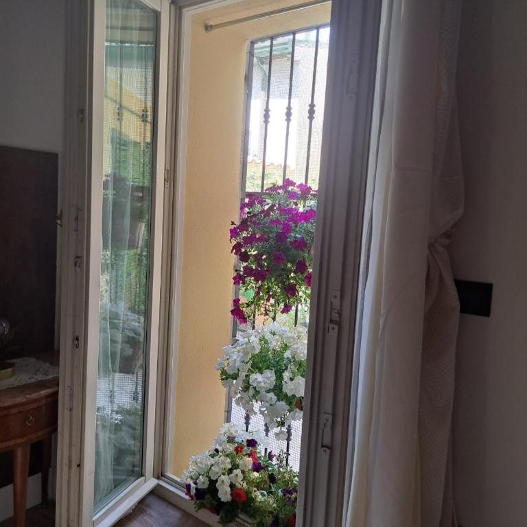 Centro storico, Centralissimo LUXURY SMERALDO SUITE Doccia Idromassaggio , cesto con piccola colazione - Appartamento con 1 Camera da Letto - 3