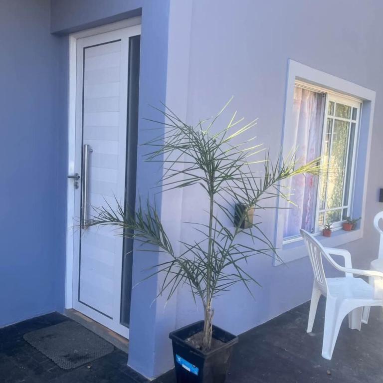 Dpto mar del tuyu - Apartamento de 2 dormitorios - 2