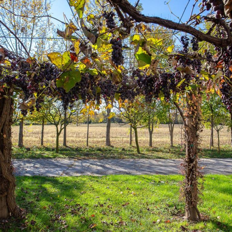 Fiori di campo - Treviso - Apartment mit 3 Schlafzimmern - 33