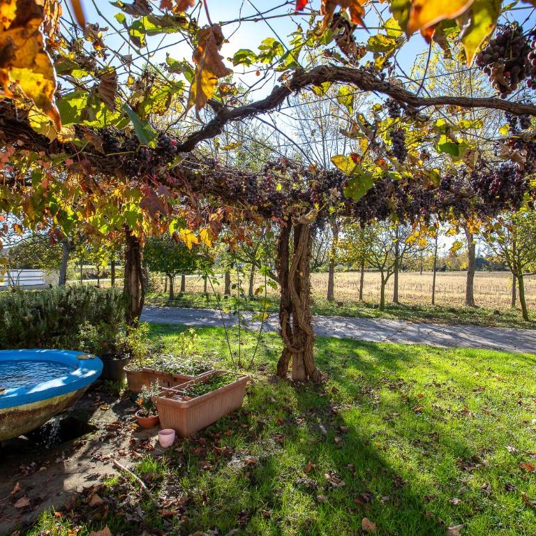Fiori di campo - Treviso - Apartment mit 3 Schlafzimmern - 36