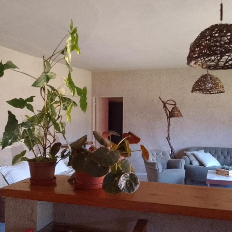 Desi y Pablo - Bungalow Deluxe con vistas al jardín - 33