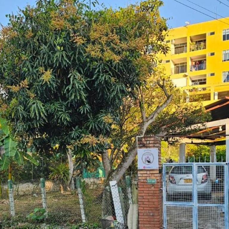 VILLA ELSA - Three-Bedroom House - 1