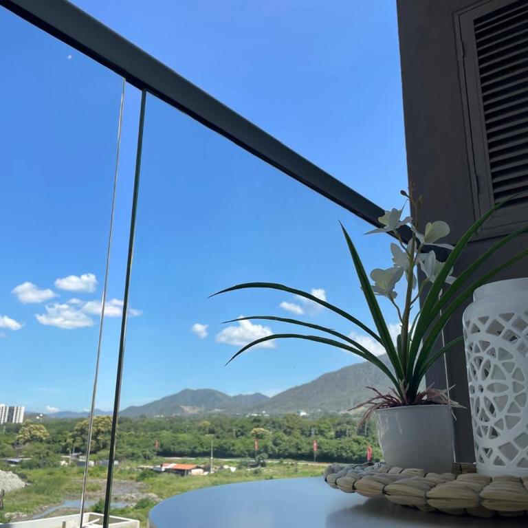 Patty del Mar Suites - One-Bedroom Apartment - 6