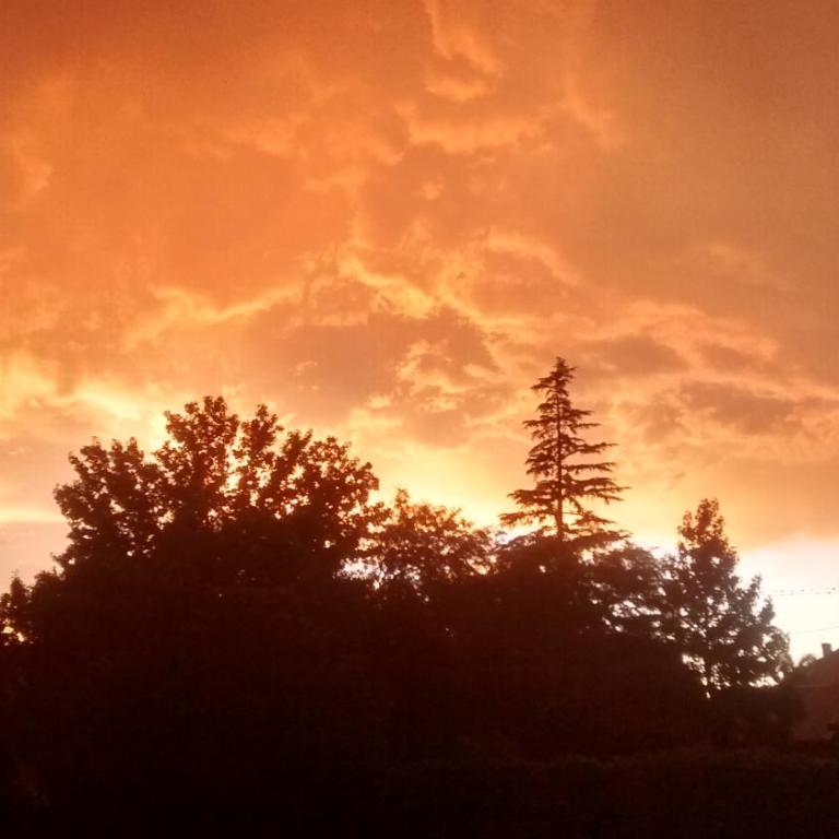 Desi y Pablo - Bungalow Deluxe con vistas al jardín - 37