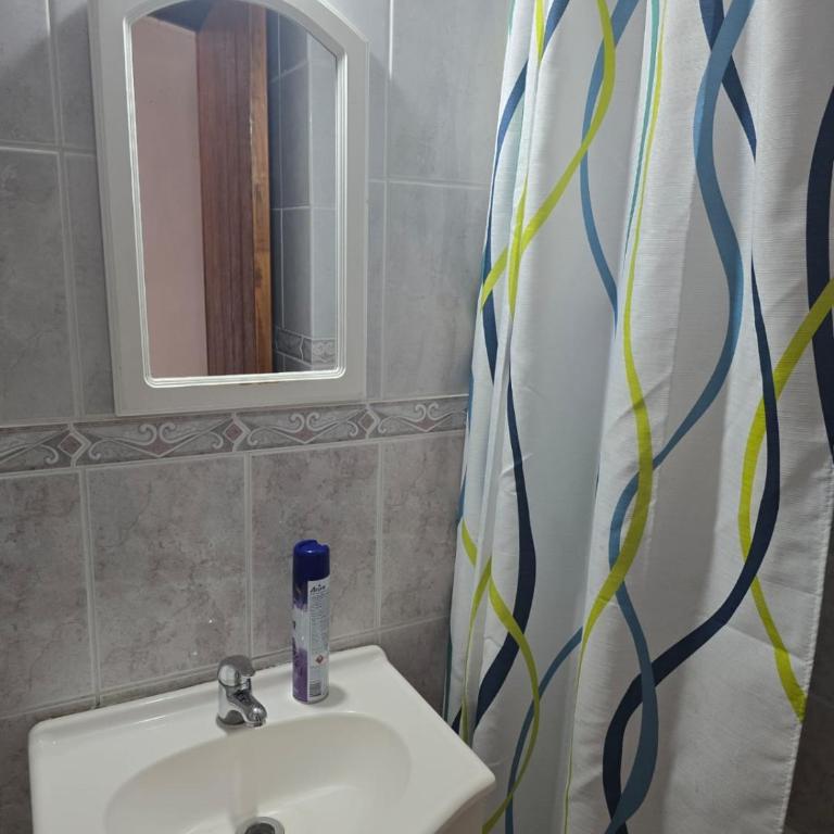 DEPARTAMENTO en PRIMERA LINEA FRENTE AL MUELLE VERGARA DOS DORMITORIOS - One-Bedroom Apartment - 7