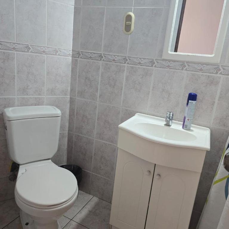 DEPARTAMENTO en PRIMERA LINEA FRENTE AL MUELLE VERGARA DOS DORMITORIOS - One-Bedroom Apartment - 8